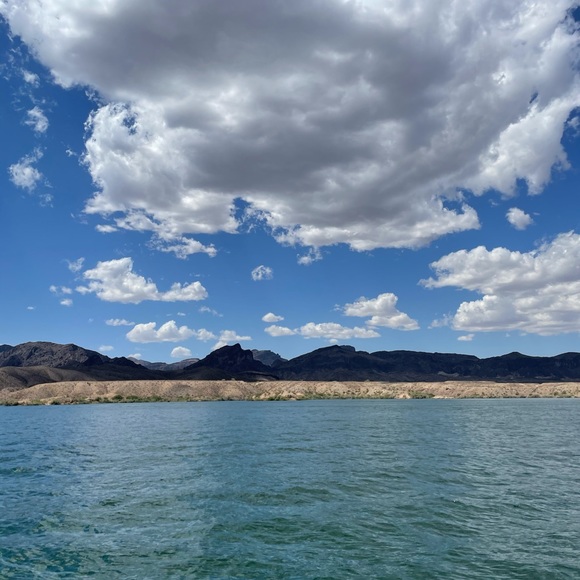 🌺 Bookmark My Closet! - Picture 2 of 5